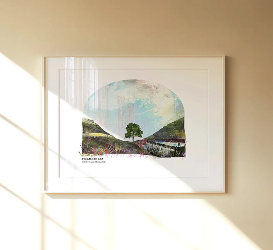 Sycamore Gap art print by Vicki Shortt, the tree in its dip on Hadrian's Wall, Northumberland, framed in a room setting