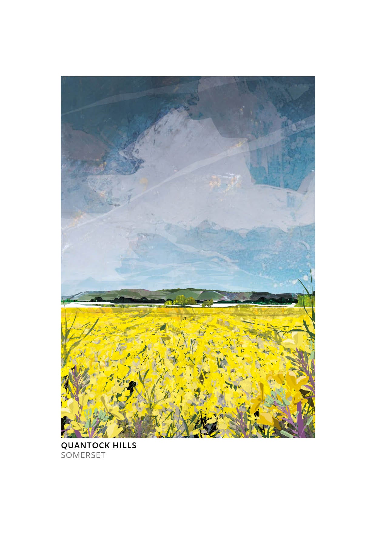 Quantock Hills art print by Vicki Shortt, a rapeseed field below the Quantock Hills in Somerset