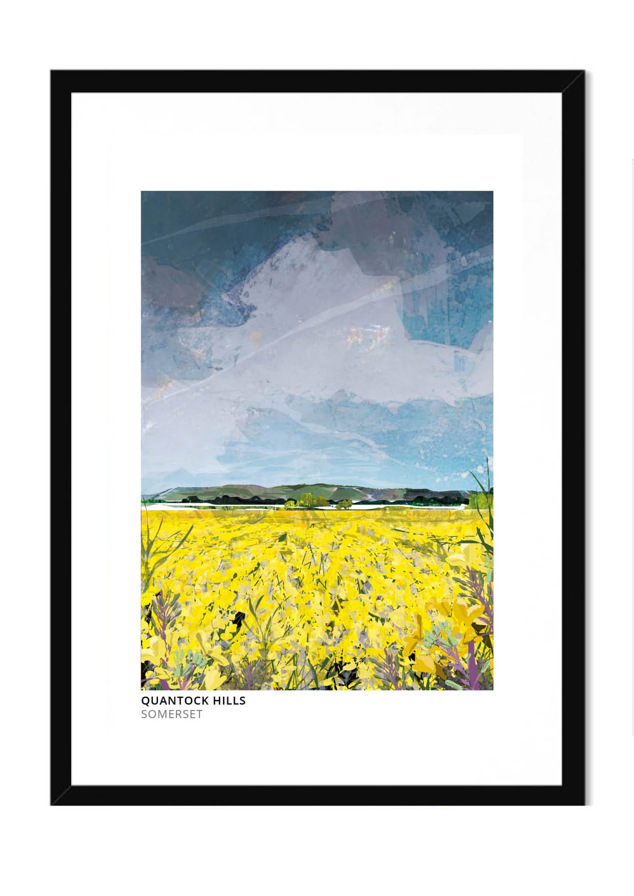 Quantock Hills art print by Vicki Shortt, a rapeseed field below the Quantock Hills in Somerset, in a black frame