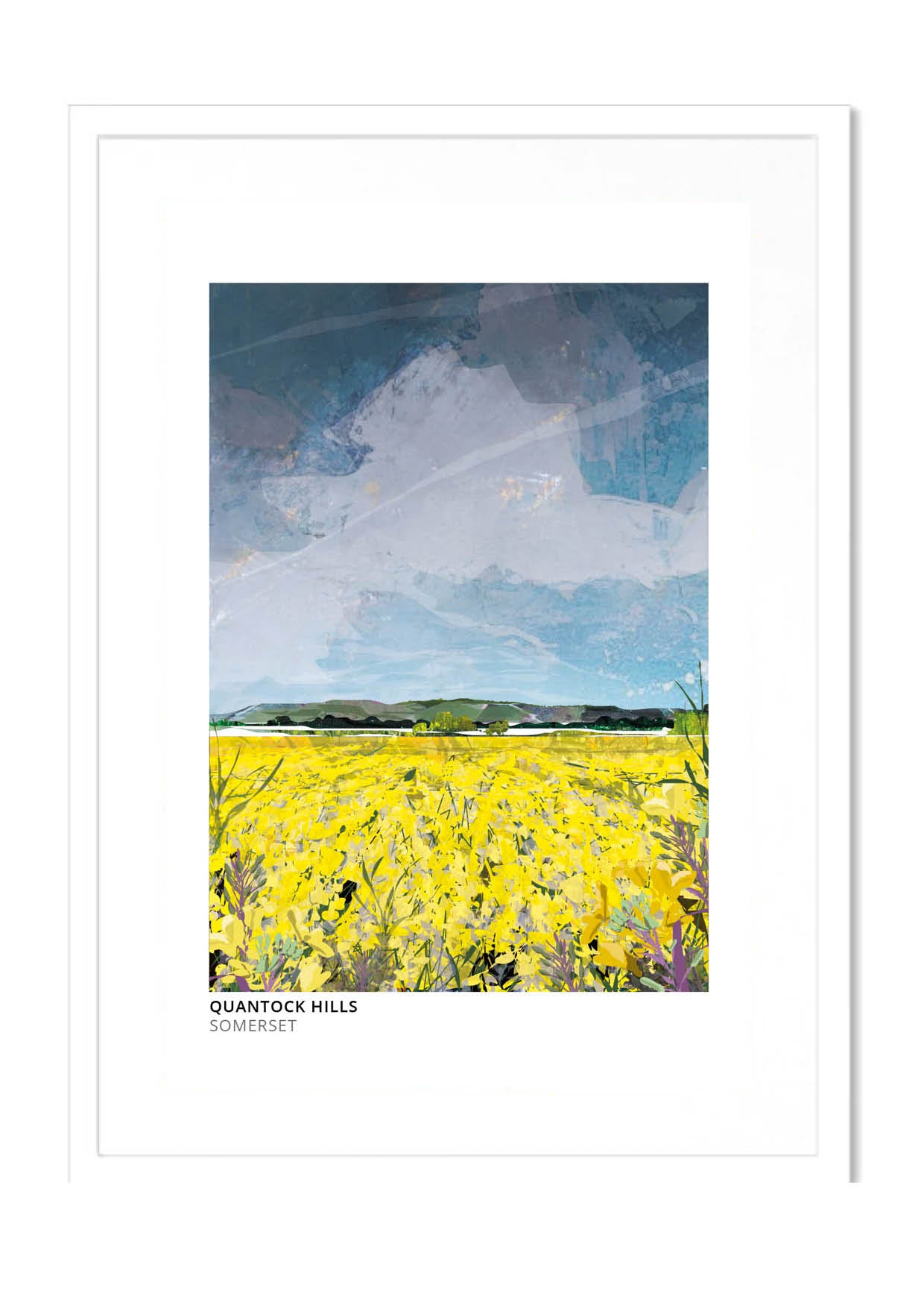 Quantock Hills art print by Vicki Shortt, a rapeseed field below the Quantock Hills in Somerset, in a white frame