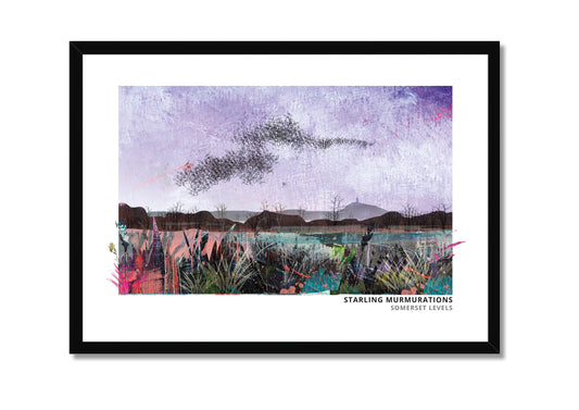 Starling Murmurations art print by Vicki Shortt, a murmuration of starlings wheeling across the sky, in a black frame