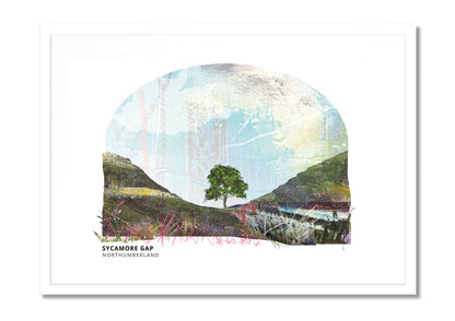 Sycamore Gap art print by Vicki Shortt, the tree in its dip on Hadrian's Wall, Northumberland, in a white frame