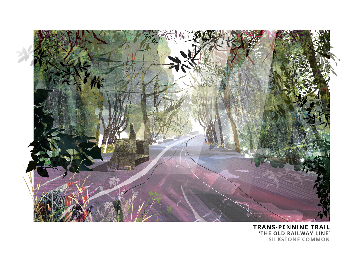 Trans-Pennine Trail art print by Vicki Shortt, the Trans-Pennine Trail at Silkstone Common, South Yorkshire