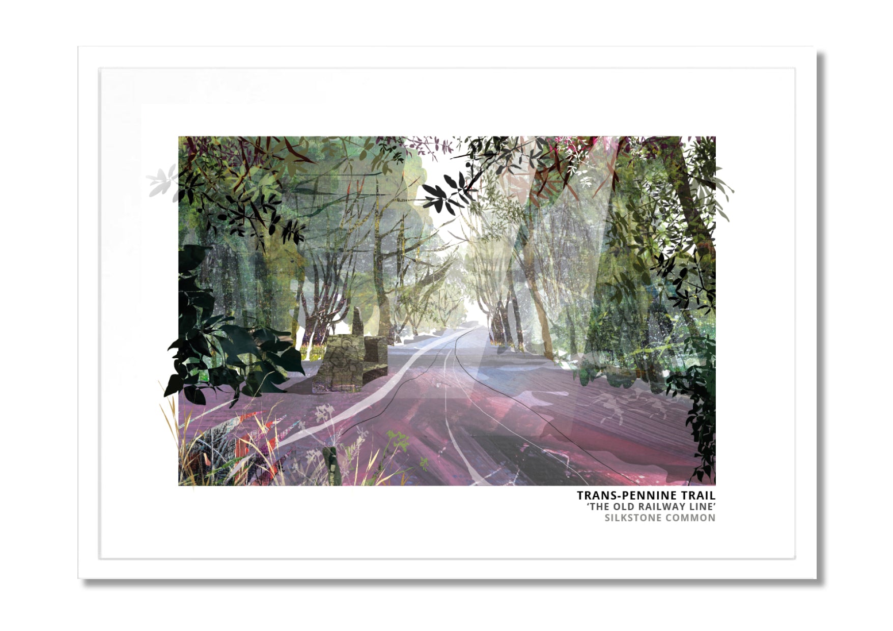Trans-Pennine Trail art print by Vicki Shortt, the Trans-Pennine Trail at Silkstone Common, South Yorkshire, in a white frame